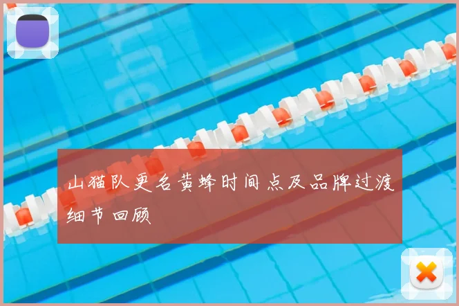 山猫队更名黄蜂时间点及品牌过渡细节回顾