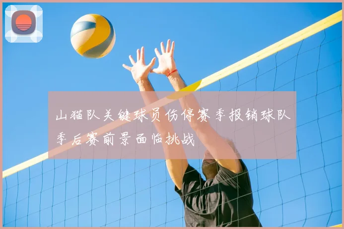 山猫队关键球员伤停赛季报销球队季后赛前景面临挑战