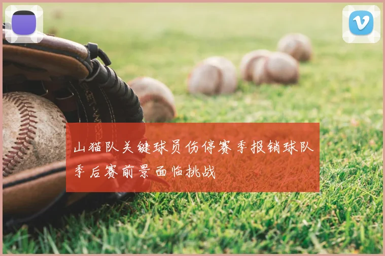 山猫队关键球员伤停赛季报销球队季后赛前景面临挑战