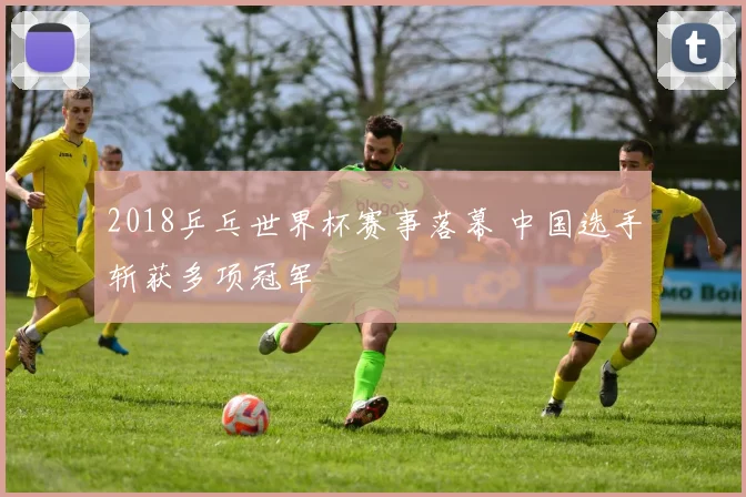 2018乒乓世界杯赛事落幕 中国选手斩获多项冠军