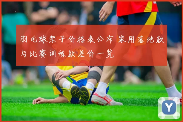 羽毛球架子价格表公布 家用落地款与比赛训练款差价一览