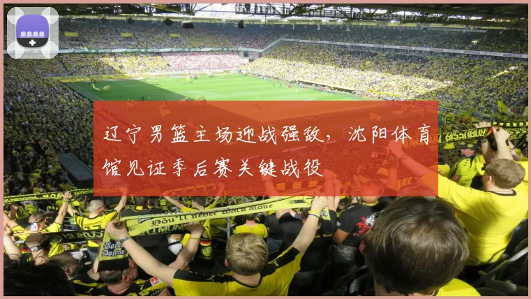 辽宁男篮主场迎战强敌,沈阳体育馆见证季后赛关键战役