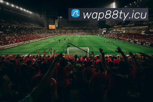 九游体育app官方版正式版下载 - IOS/Android通用版/手机APP下载平台生态图